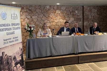 Παρέμβαση της ΕλΕΔΑ Ι Άμεση κατάργηση της ΚΥΑ περί νομικής καθοδήγησης αιτούντων άσυλο ζητά η Ολομέλεια των Δικηγορικών Συλλόγων